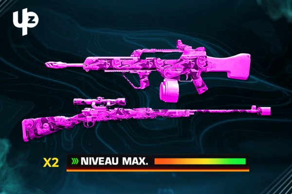 CHOIX 2 ARMES NIVEAU MAX