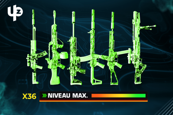 BOOST DES ARMES BO6 NIVEAU MAX !